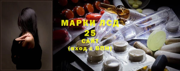 PSILOCYBIN Армянск