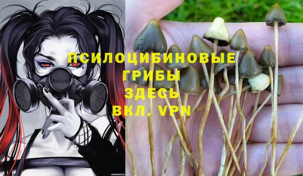 мяу мяу мука Арсеньев