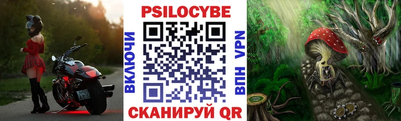 blacksprut как зайти  Руза  Галлюциногенные грибы Cubensis 
